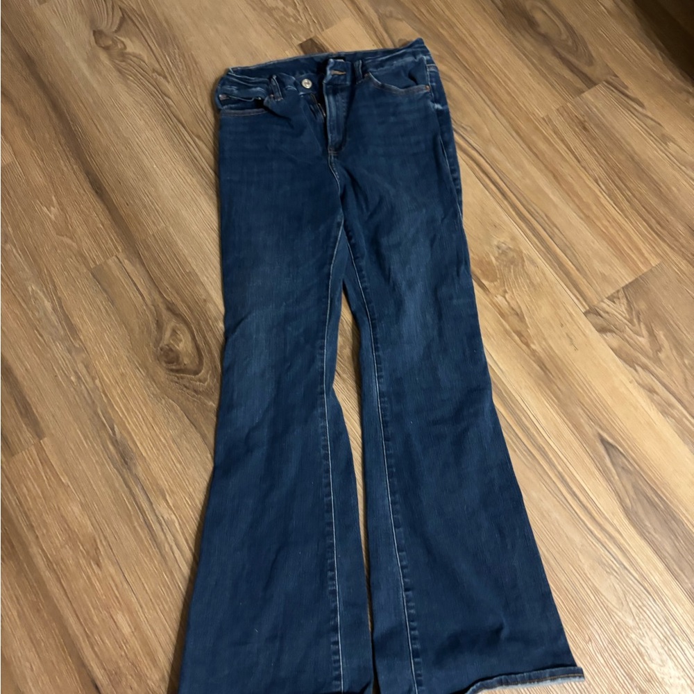 Express Blue Flare Wide Leg Jeans